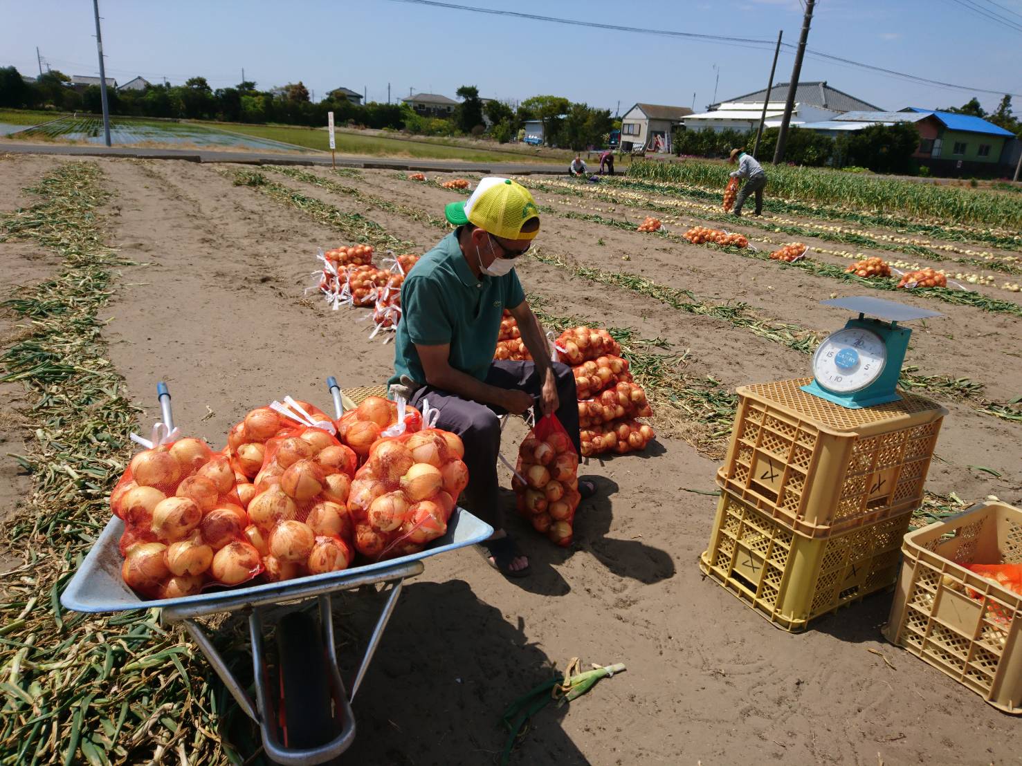 夫婦でボランティア07