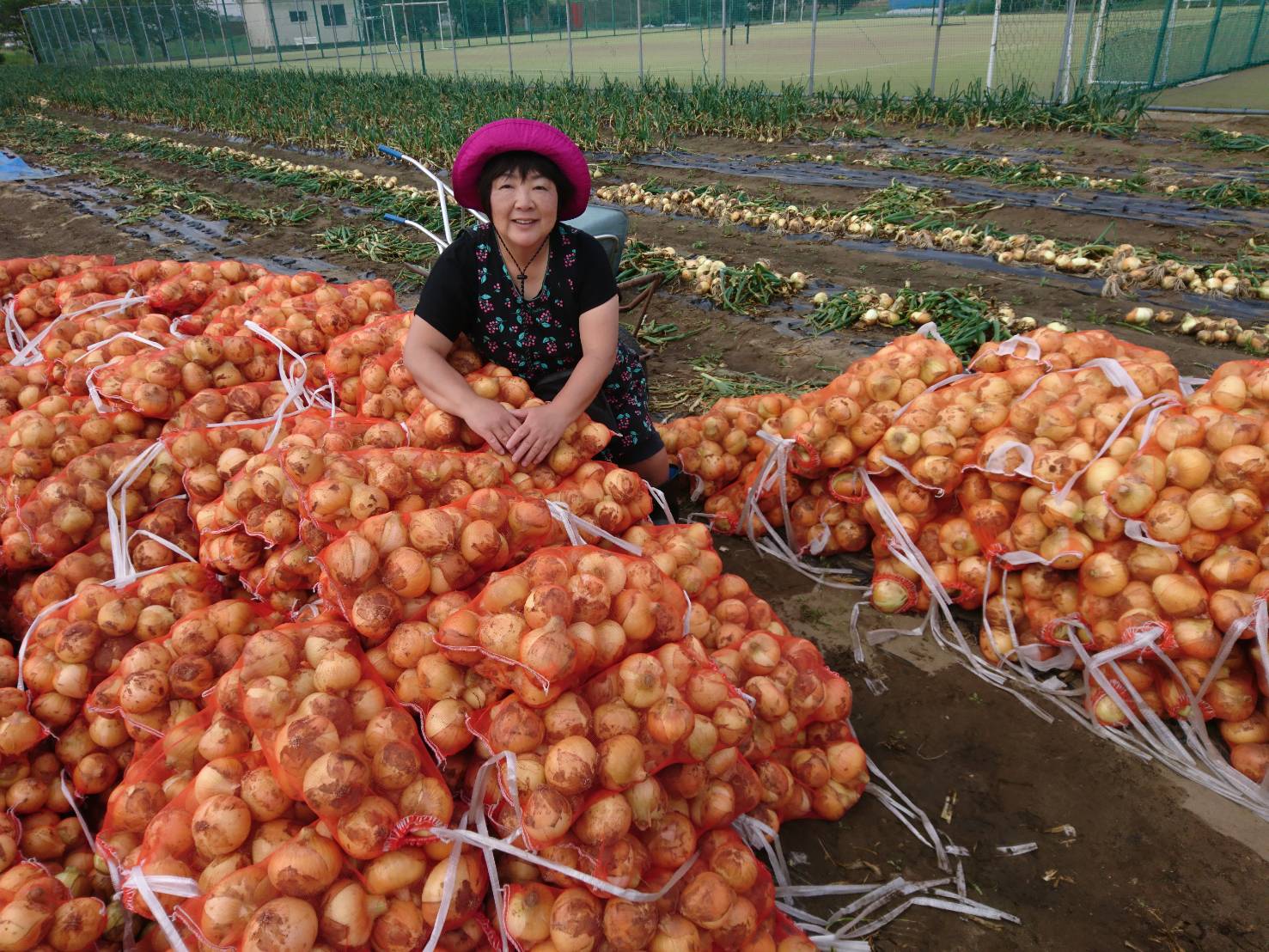 夫婦でボランティア04