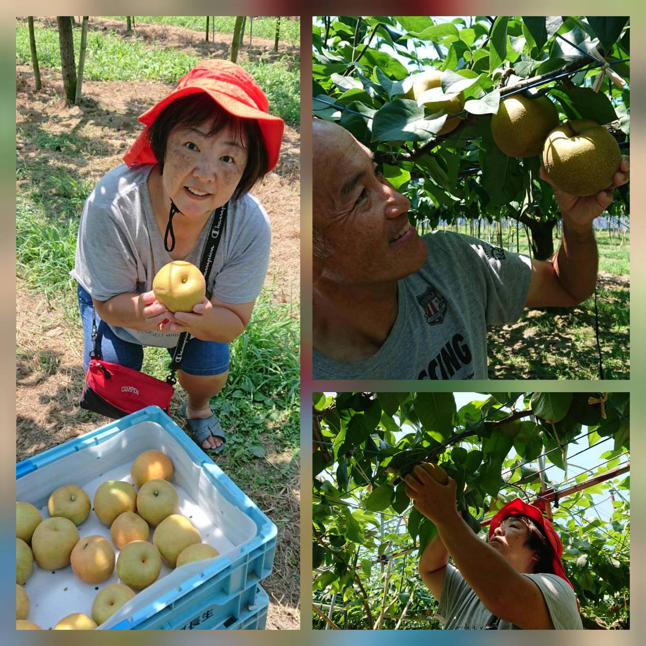 夫婦でボランティア05