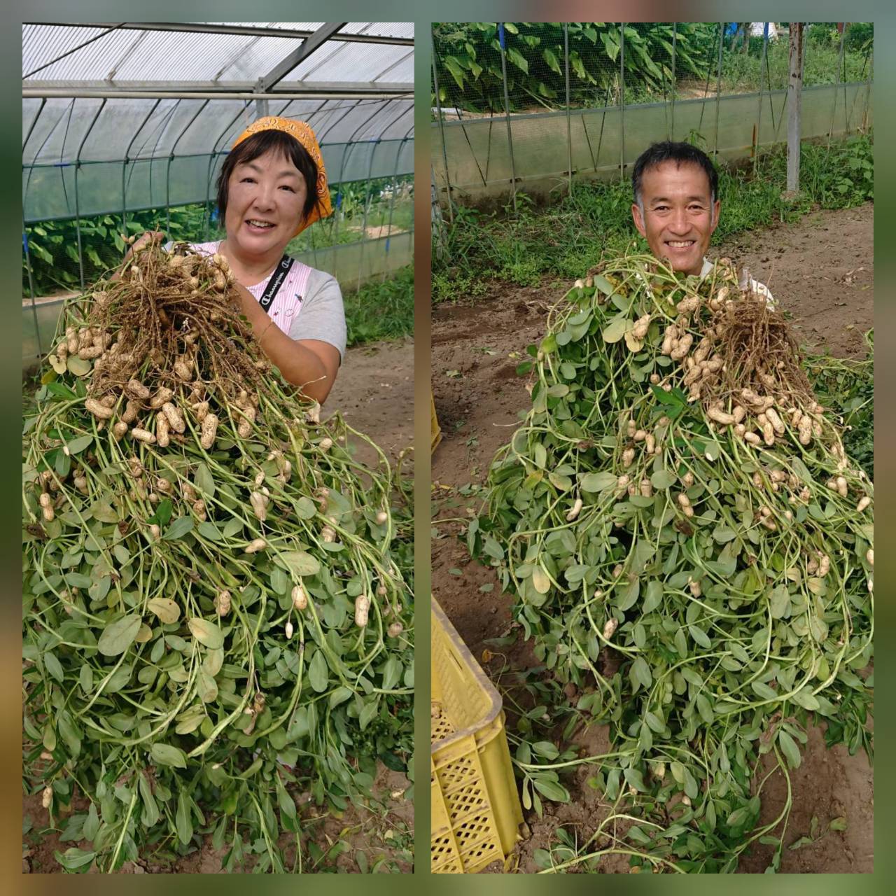 夫婦でボランティア06